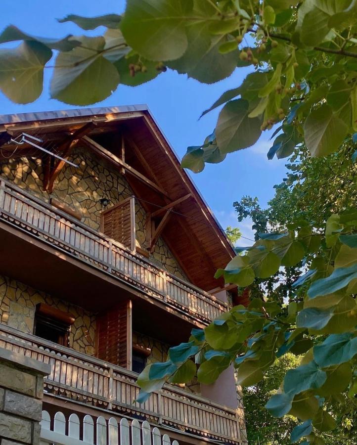 Hotel Konaci Nikola Banja Vrujci Gornja Toplica Exterior foto